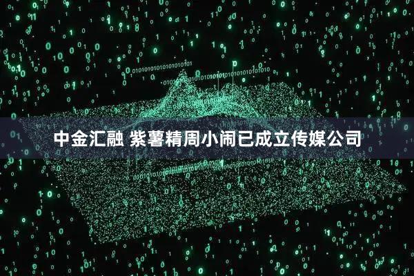 中金汇融 紫薯精周小闹已成立传媒公司